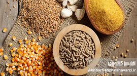 کاهش هزینه تولید دام با ورود ضایعات کشاورزی به چرخه خوراک
