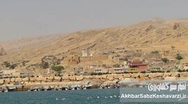 سیراف در آستانه ثبت جهانی؛ میراث خلیج فارس جهانی می‌شود؟
