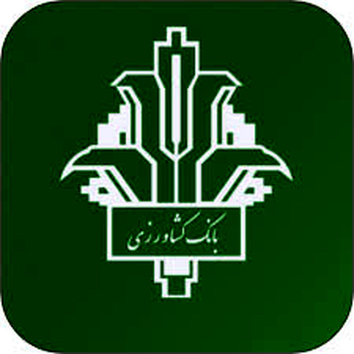 پایداری سفره‌های ایرانی در سایه تدابیر بانکی؛ نقش استراتژیک بانک کشاورزی در مدیریت بحران