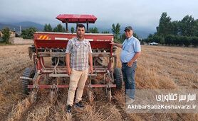 کشت مستقیم یا بی‌خاک‌ورزی سویا در بقایای گندم در استان گلستان+ویدئو