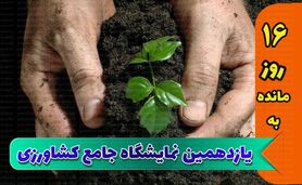 بزرگ‌ترین نمایشگاه کشاورزی با حضور بیش از 200 شرکت

