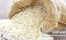 گرانی لبنیات و برنج؛ هشدار برای سفره ایرانی