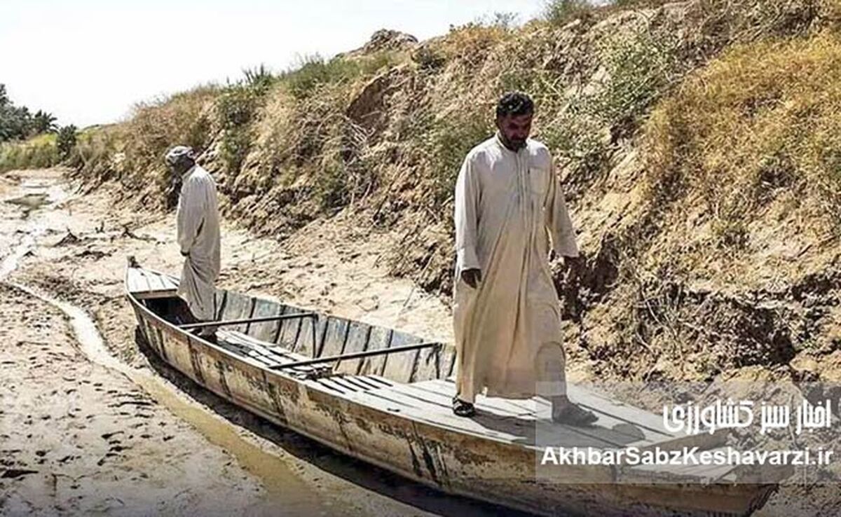 هورالعظیم زیر تیغ نفت؛ مطالبه لغو فوری مجوز توسعه میدان سهراب