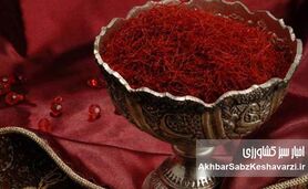 زعفران؛ محصولی ارزشمند با شناسنامه ایرانی
