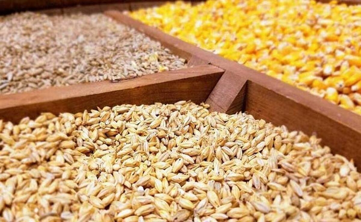 قیمت نهاده های دامی و کشاورزی ۱۵ اسفند ۱۴۰۲

