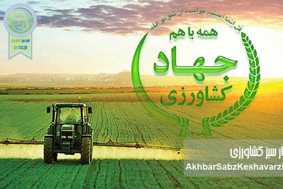 فاصله از مأموریت اصلی؛ چرا تولید و کشاورزان دیگر اولویت نخست نیستند؟

