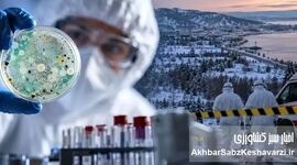 مرگ در مؤسسه ضدطاعون سیبری؛ سایه «مرگ سیاه» بر دنیای مدرن یا هشداری مهارشده؟