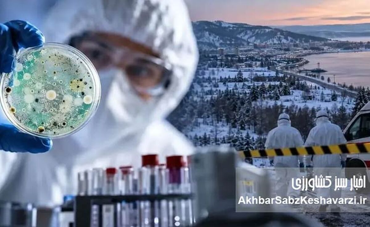 مرگ در مؤسسه ضدطاعون سیبری؛ سایه «مرگ سیاه» بر دنیای مدرن یا هشداری مهارشده؟