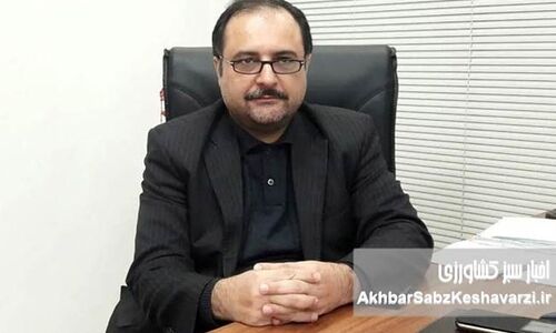 تأمین غذا یا دسترسی خانوارها؛ کدام ضروری‌تر است؟