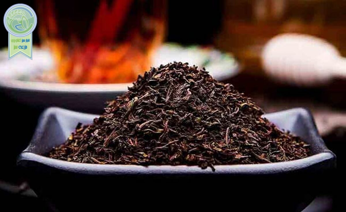 چای ایرانی؛ نوشیدنی ملی و صنعتی ارزشمند