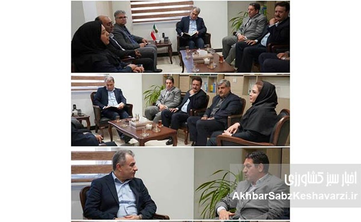 بیمه کشاورزی هشترود متحول می‌شود؛ پایان کابوس سرمازدگی؟
