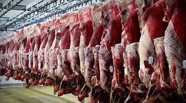 تنظیم بازار گوشت قرمز با تسهیل واردات و افزایش عرضه