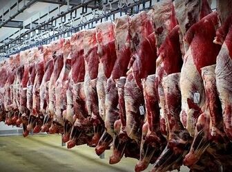 تنظیم بازار گوشت قرمز با تسهیل واردات و افزایش عرضه
