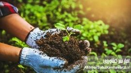 تضاد کشاورزی مدرن با طبیعت؛ چرا باید به سمت کشت ارگانیک برویم؟ 