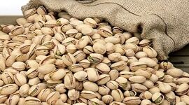 حال صنعت خشکبار ایران خوب نیست

