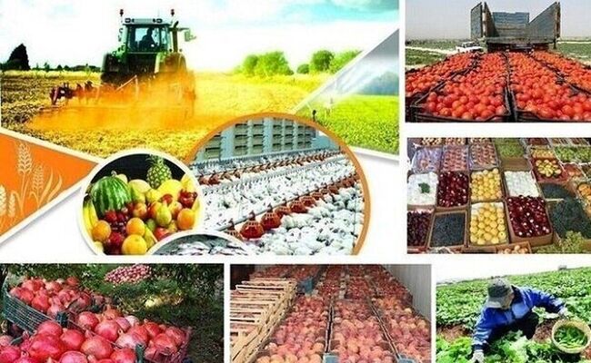 بن‌بست ساختاری سرمایه‌گذاری در کشاورزی ایران