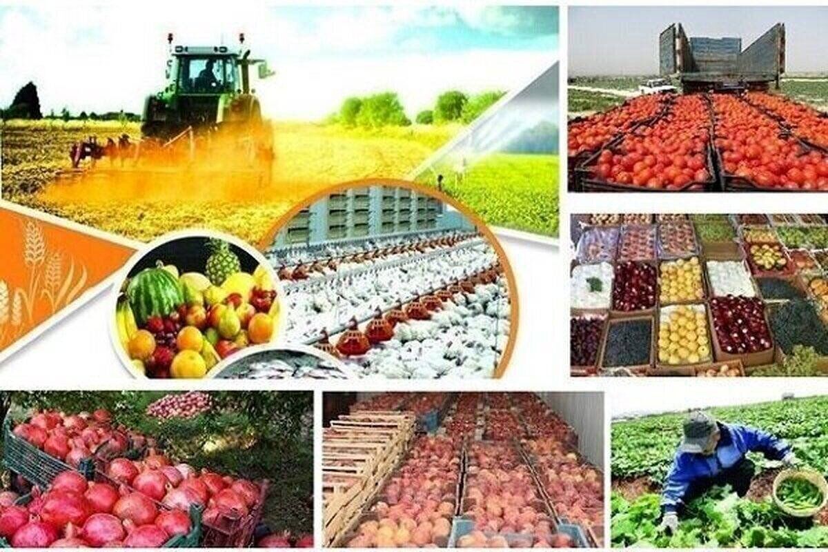 بن‌بست ساختاری سرمایه‌گذاری در کشاورزی ایران