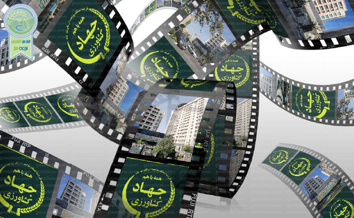 از دوست محوری تا شایسته سالاری

