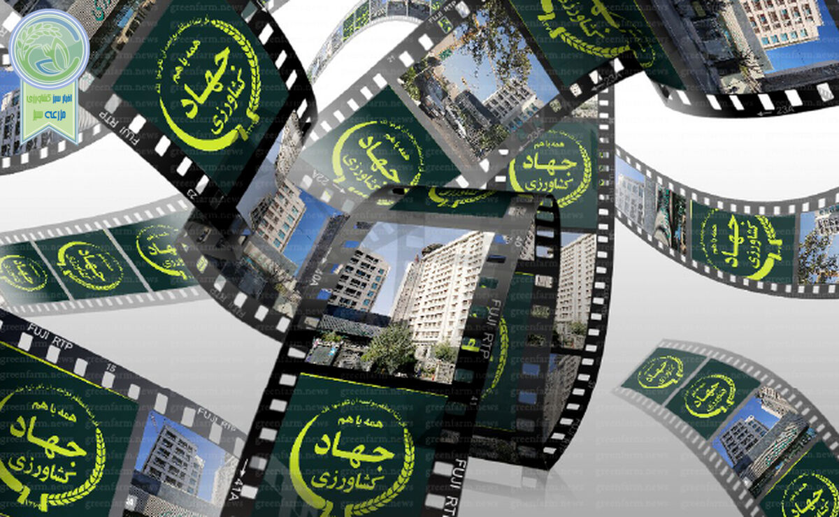 از دوست محوری تا شایسته سالاری

