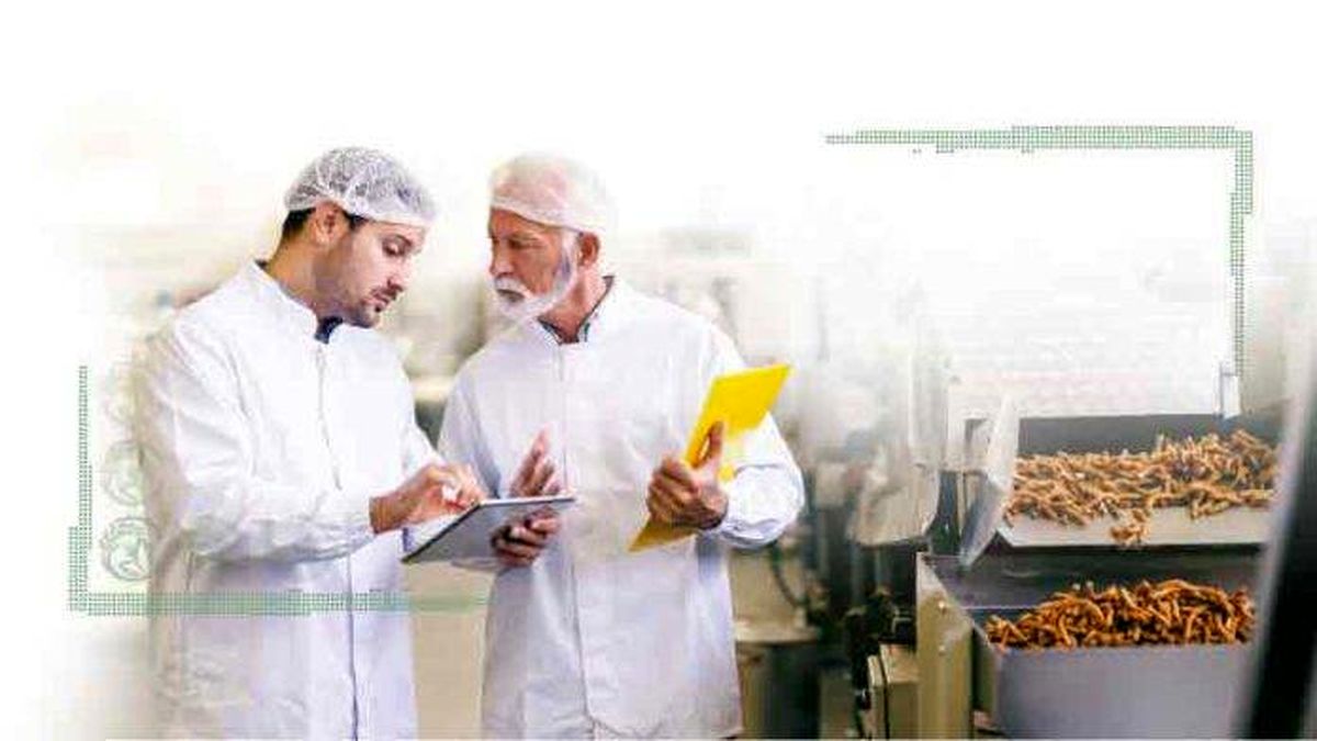 مروری بر تاریخچه و چالش‌های صنعت غذا در ایران