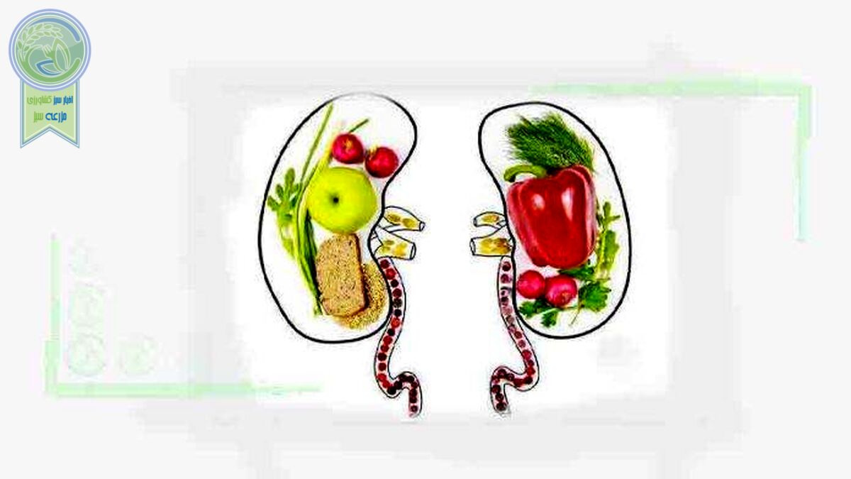 مواد غذایی مناسب برای دوری از بیماری‌های کلیوی