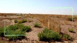امنیت غذایی کشور در گرو احداث بادشکن‌ها