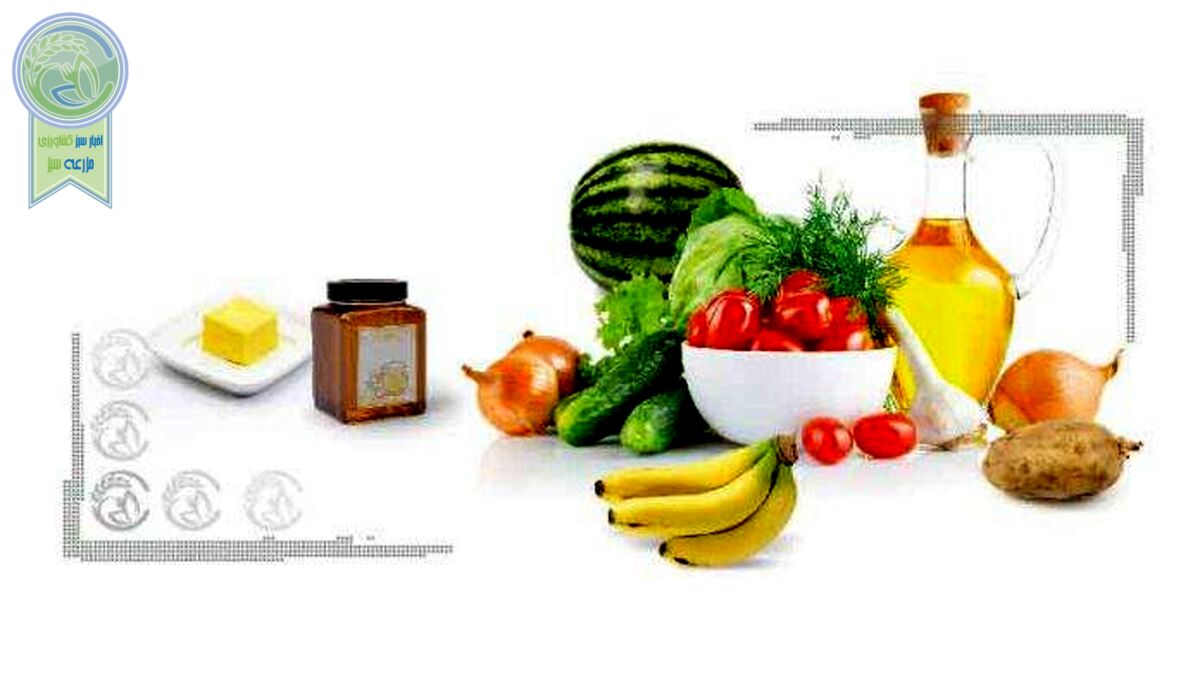 تاثیر تغذیه مناسب در یادگیری دانش‌آموزان