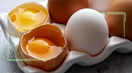 تخم مرغ ارزان از کجا بخریم؟