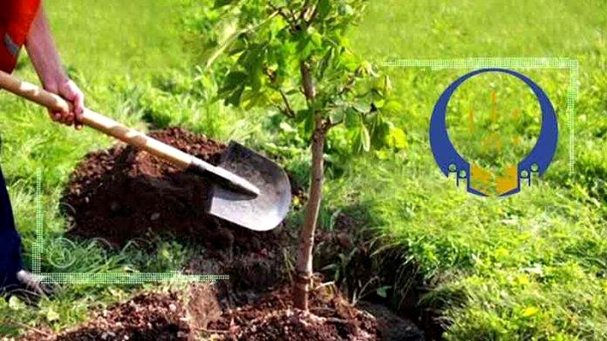 مشکلات سامانه سبک برای کشاورزان