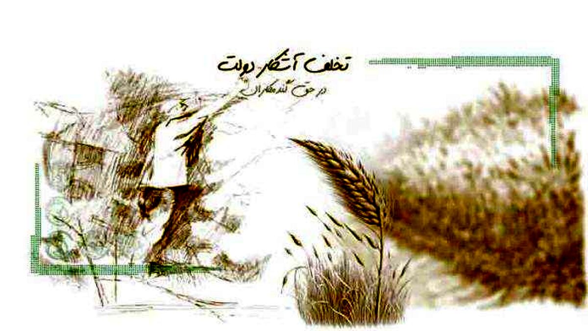 تخلف آشکار دولت در حق گندمکاران
