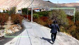 برنامه‌ریزی روستایی مدیریت واحد می‌خواهد
