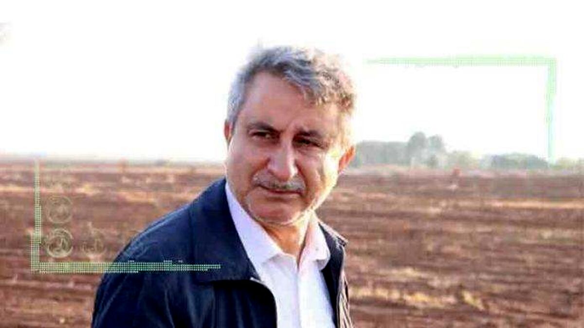 تولید گندم با کیفیت در دستور کار است
