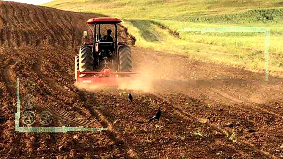 نگاهی به سیاست‌های پولی از بخش کشاورزی تا صنعت و خدمات