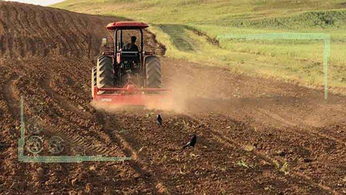 نگاهی به سیاست‌های پولی از بخش کشاورزی تا صنعت و خدمات