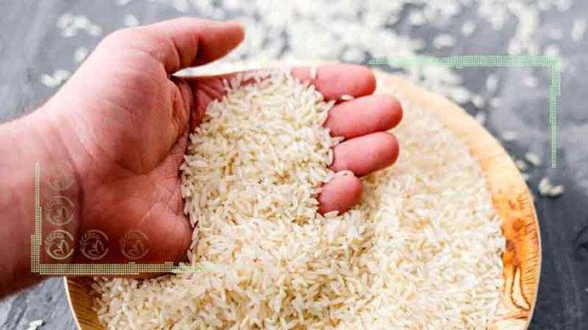 افزایش صادرات برنج تایلند