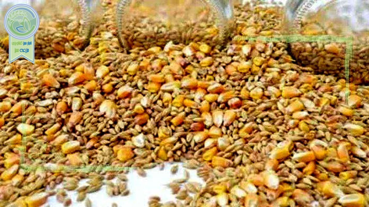 قیمت نهاده های دامی و محصولات کشاورزی ۲۹ آبان ۱۴۰۲