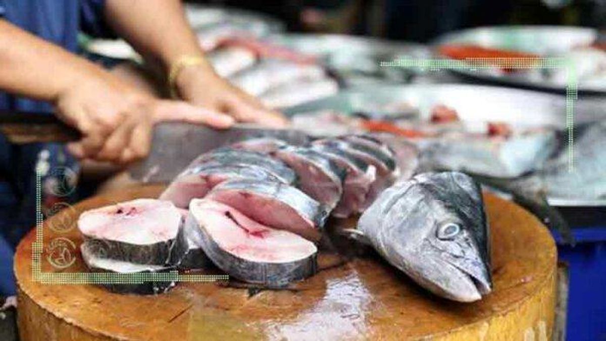 قیمت ماهی سفید به نیم میلیون تومان نزدیک شد
