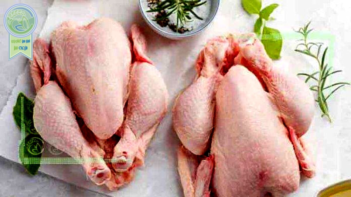 قیمت انواع مرغ در ۲ آذر ۱۴۰۲