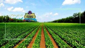 همایش تخصصی فناوری‌های نوین با ایجاد ارزش افزوده از ضایعات کشاورزی