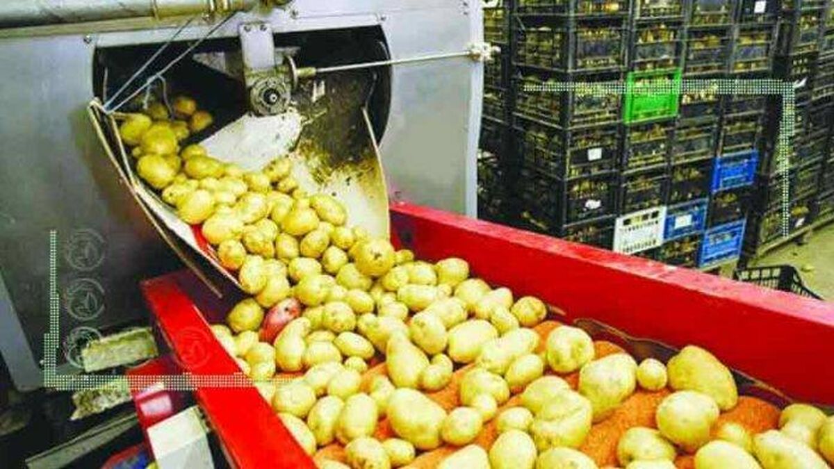 توسعه صنایع راهی برای کاهش ضایعات کشاورزی