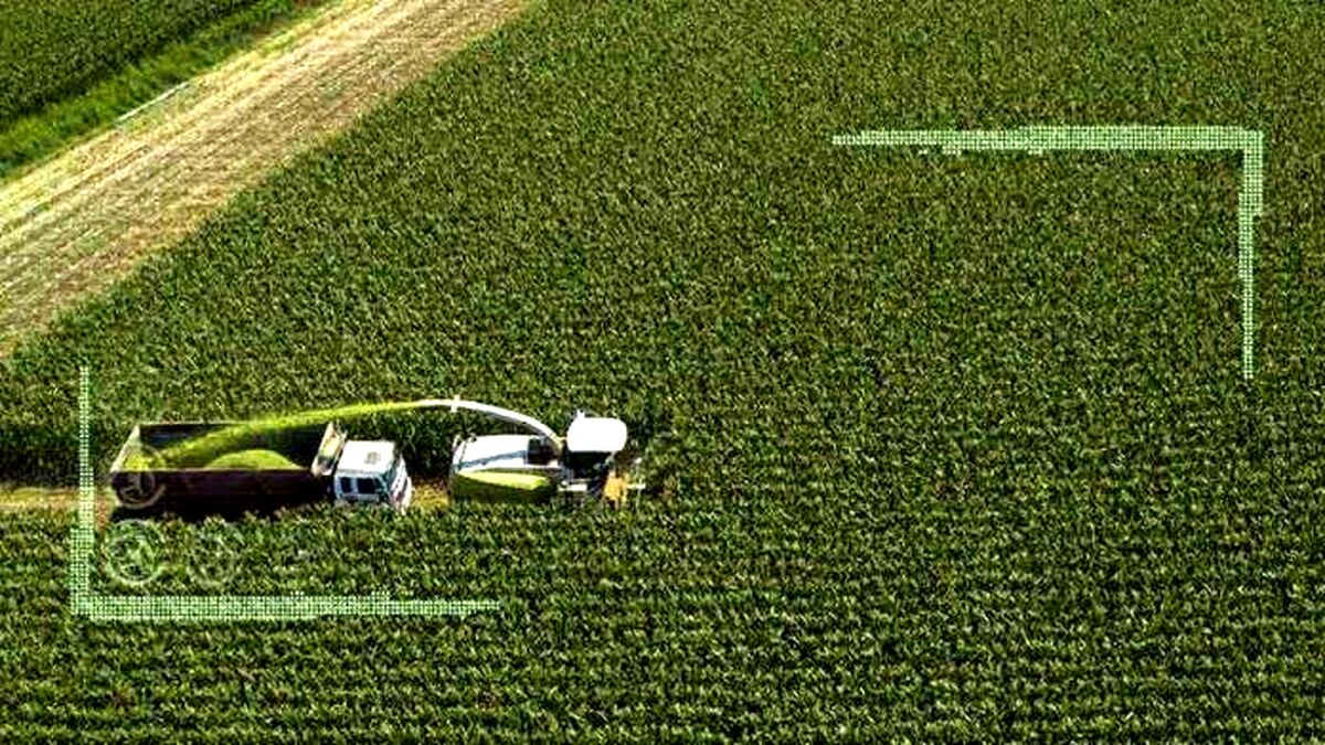 کشت فراسرزمینی راهبردی برای مقابله با خشکسالی