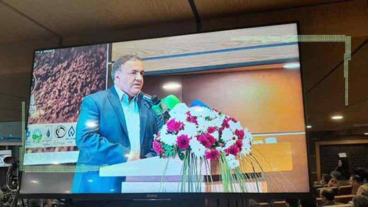تولید و کاشت نشاء باید اجباری شود