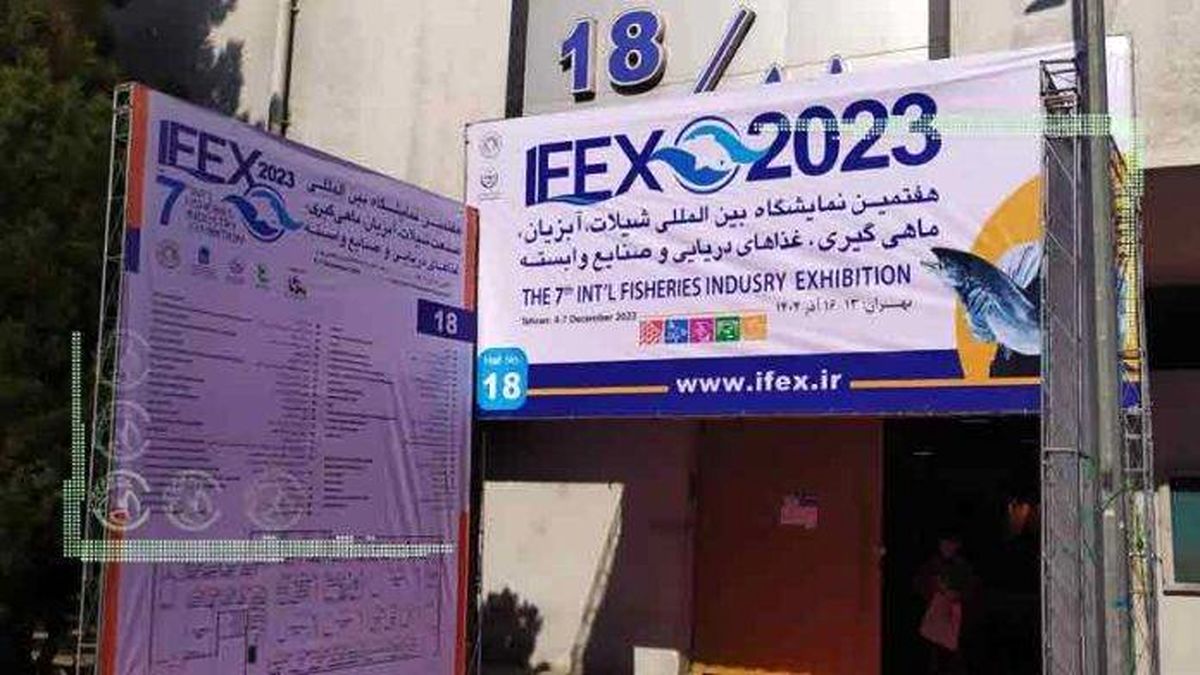 IFEX بدون متولی اصلی صنعت شیلات ایران