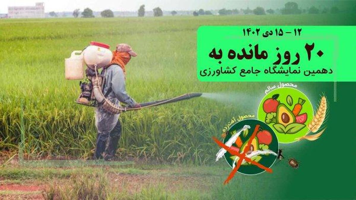 ریل‌گذاری واردات؛ مانع رشد تولید داخلی