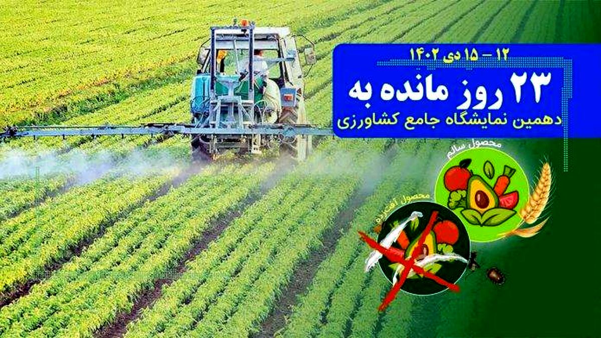 ارز برای اختلاس بلی، برای واردات نهاده‌های کشاورزی خیر