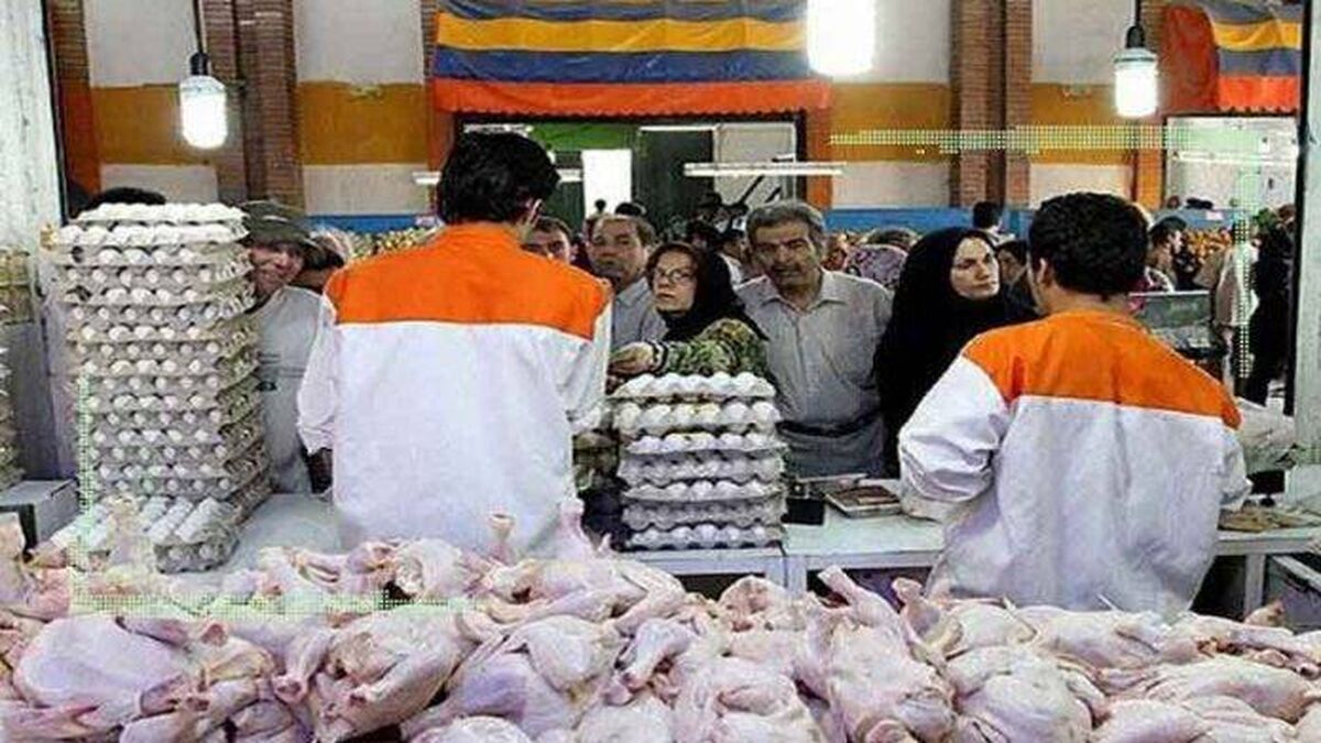 خرید ارزان مواد پروتیینی از میادین میوه و تره بار