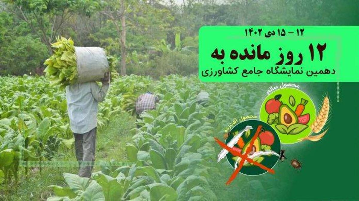 غذای سالم درگرو تولید سالم