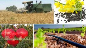 خط قرمز تامین غذای سالم و کافی است