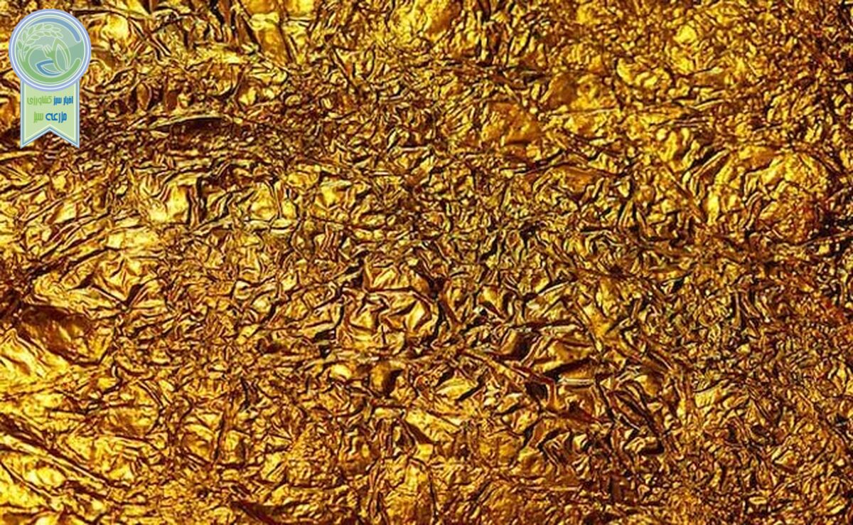 قیمت سکه و طلا امروز سه شنبه۲ بهمن ۱۴۰۳+ جدول

