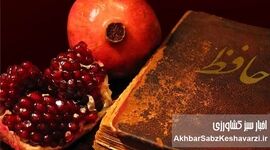 فردای شب یلدا را تعطیل کنید/ مردم برای آرامش به این تعطیلی نیاز دارند